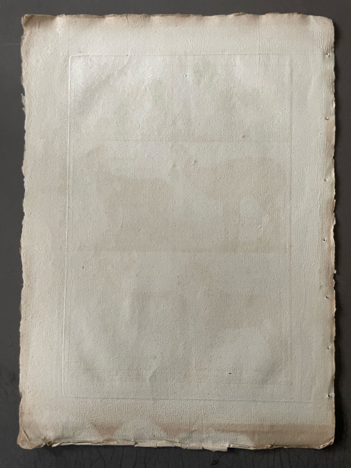 Gravure Livre ancien XVIIIe Buffon, Bonnaterre, Histoire naturelle, Quadrupèdes, Mammifères