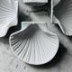Set of 4 shell-shaped bowls