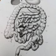 Printed in 1851, Digestive system, heart and lungs.