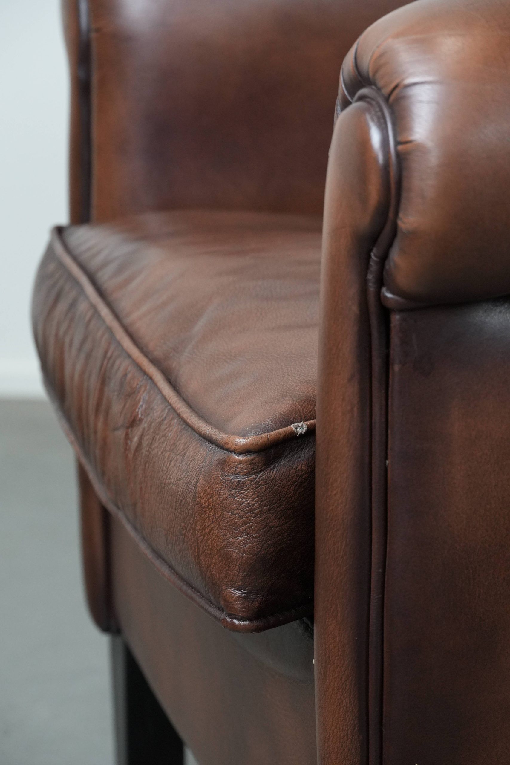 Great luxurious brown cowhide club armchair with matching piping