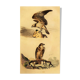 Ornithological board "Le Balbusard - Le Jean-le-Blanc" Buffon 1838