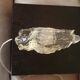 Glass and wood wall light Angello Design