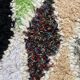 Berber carpet azilal 80x180 cm