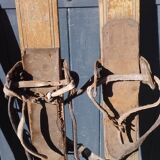 3 pairs of old skis