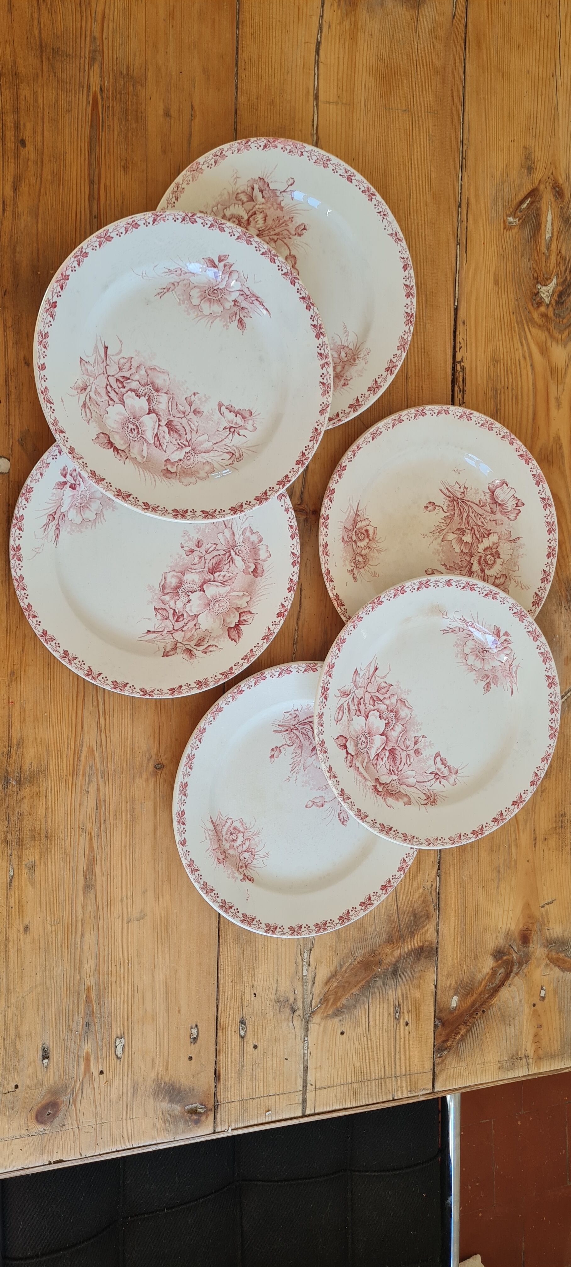 Serving of 6 plates in iron earth