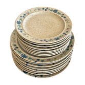 Lot de 16 assiettes Tulowice Pologne
