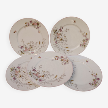 5 old Paris porcelain plates with floral & insect decoration