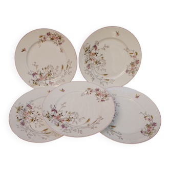 5 old Paris porcelain plates with floral & insect decoration