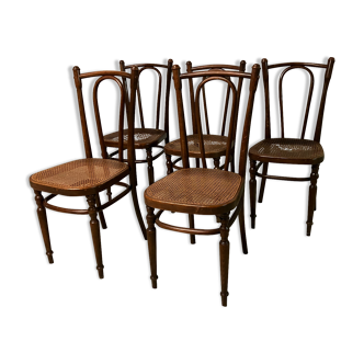 Lot de 5 chaises Fischel