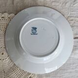 Antique Saint Amand iron clay deep plate - Byzantine model