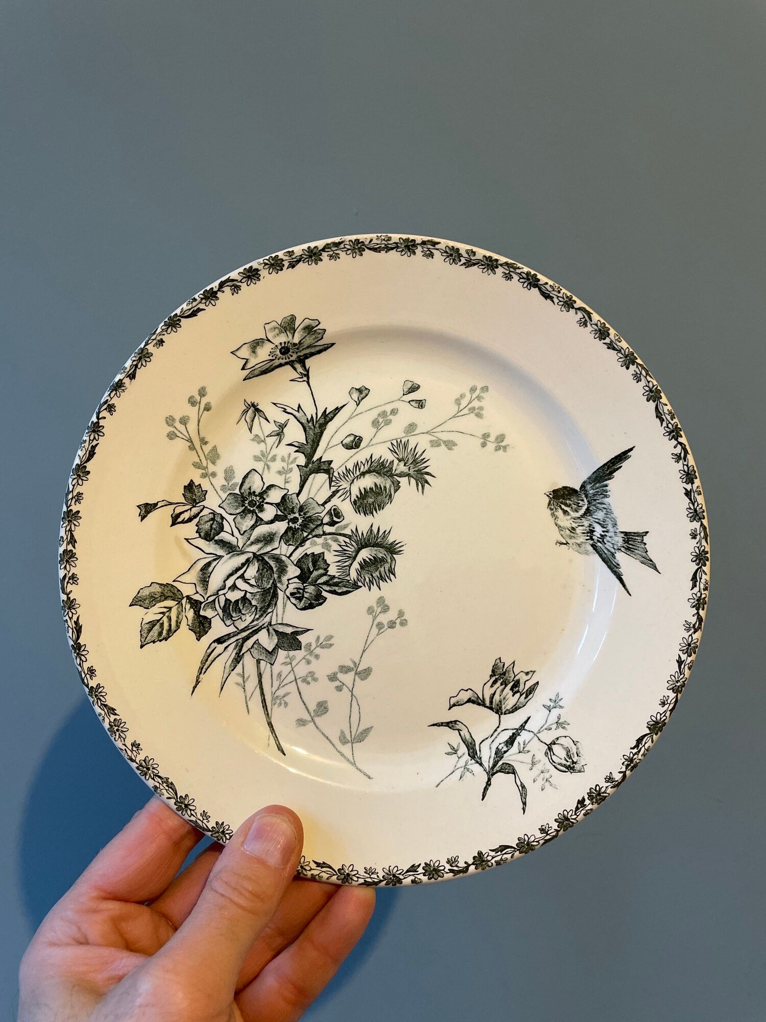 Set of 12 Terre de Fer dessert plates Grand Dépôt E.Bourgeois