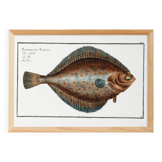 Poster on the fold, after an old engraving from 1746