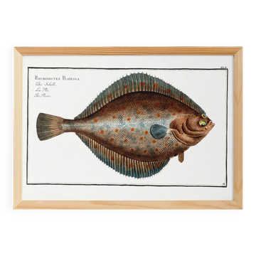 Affiche sur la plie, d’après une gravure ancienne de 1746