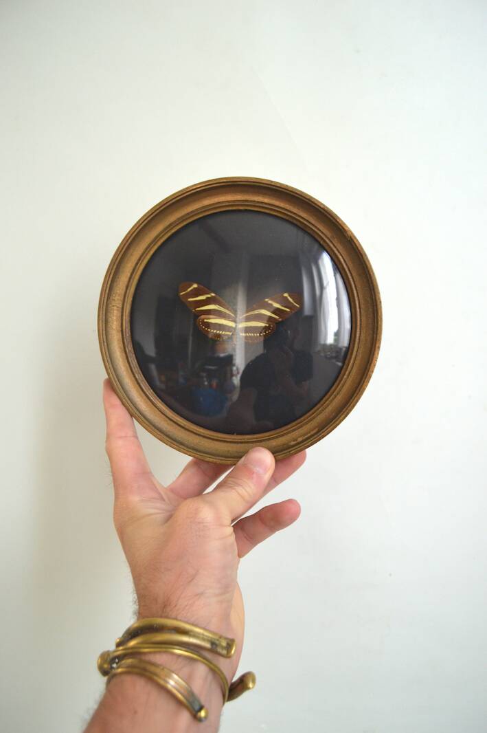 Butterfly frame under curved glass