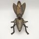 Brass Art Deco fly with movable wings Collection 4288