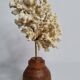 Old white coral on wooden base, branched, 20 cm