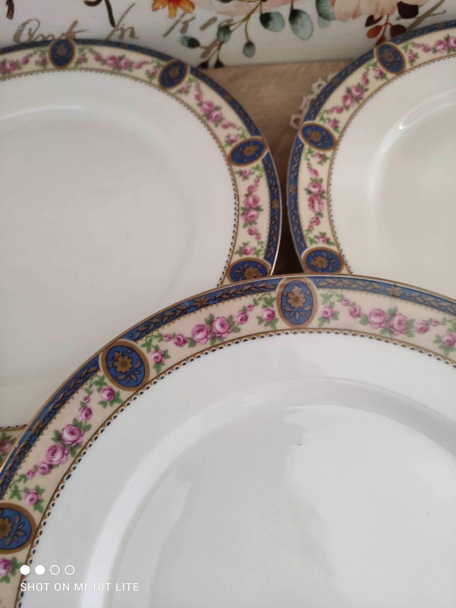 Set of 10 flat plates in Limoges porcelain stamp RN frieze blue old pinks