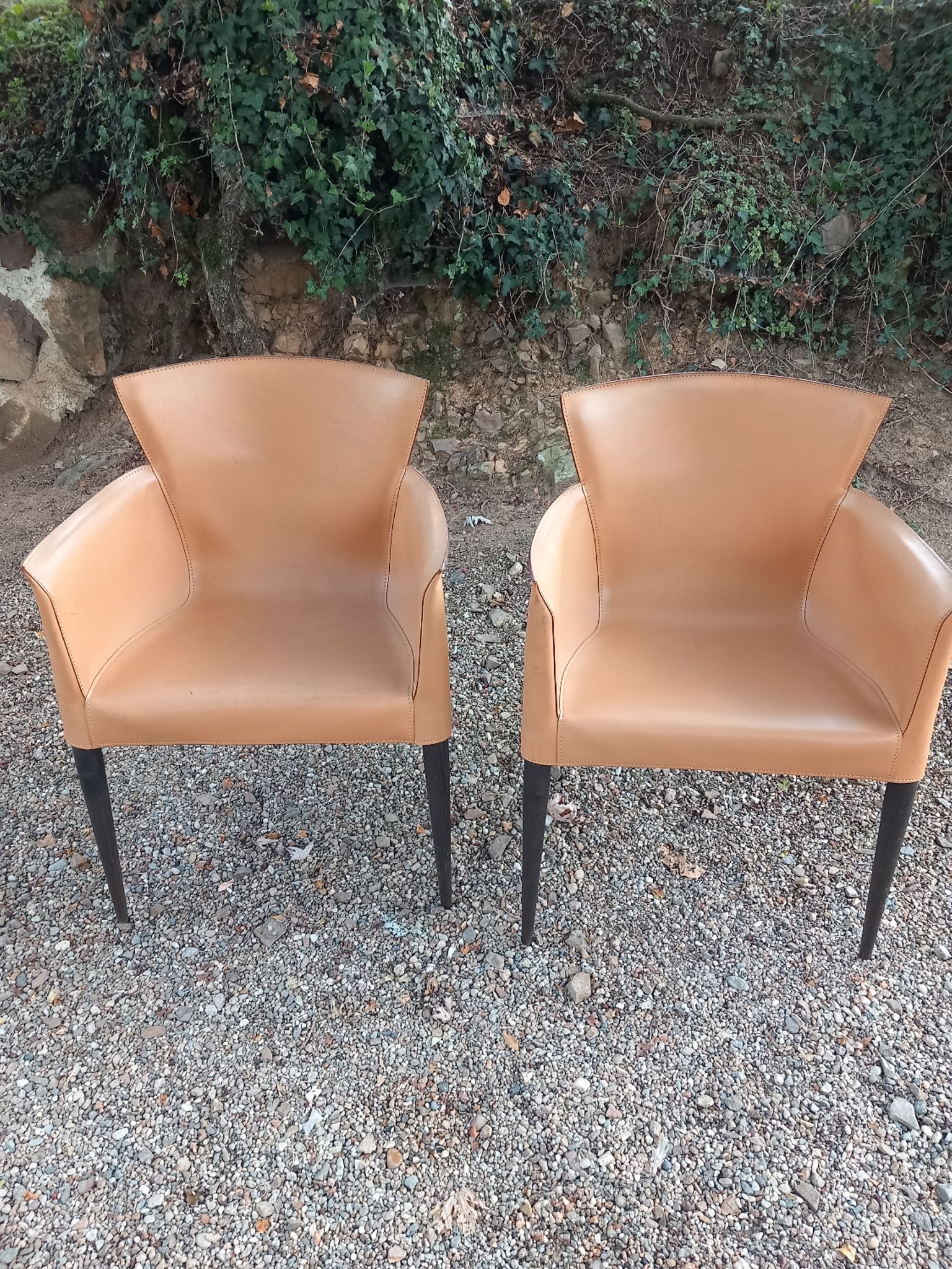 Ensemble de 4 chaises Vela par Carlo Bartoli pour Matteo Grassi