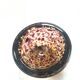 Vintage Murano tortoiseshell ashtray