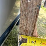 Table and trestles fir tray