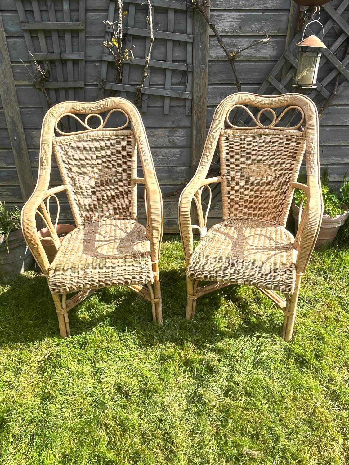 Rattan armchair duo