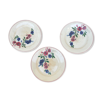 Set of 3 antique plates with floral motif Aigueperse Sarreguemines Digoin