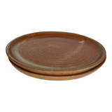 2 stoneware dinner plates