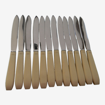 Set of 12 vintage stainless steel blade knives