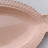 Fish slushie dish