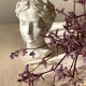 Buste cache-pot artemis blanc, taille s