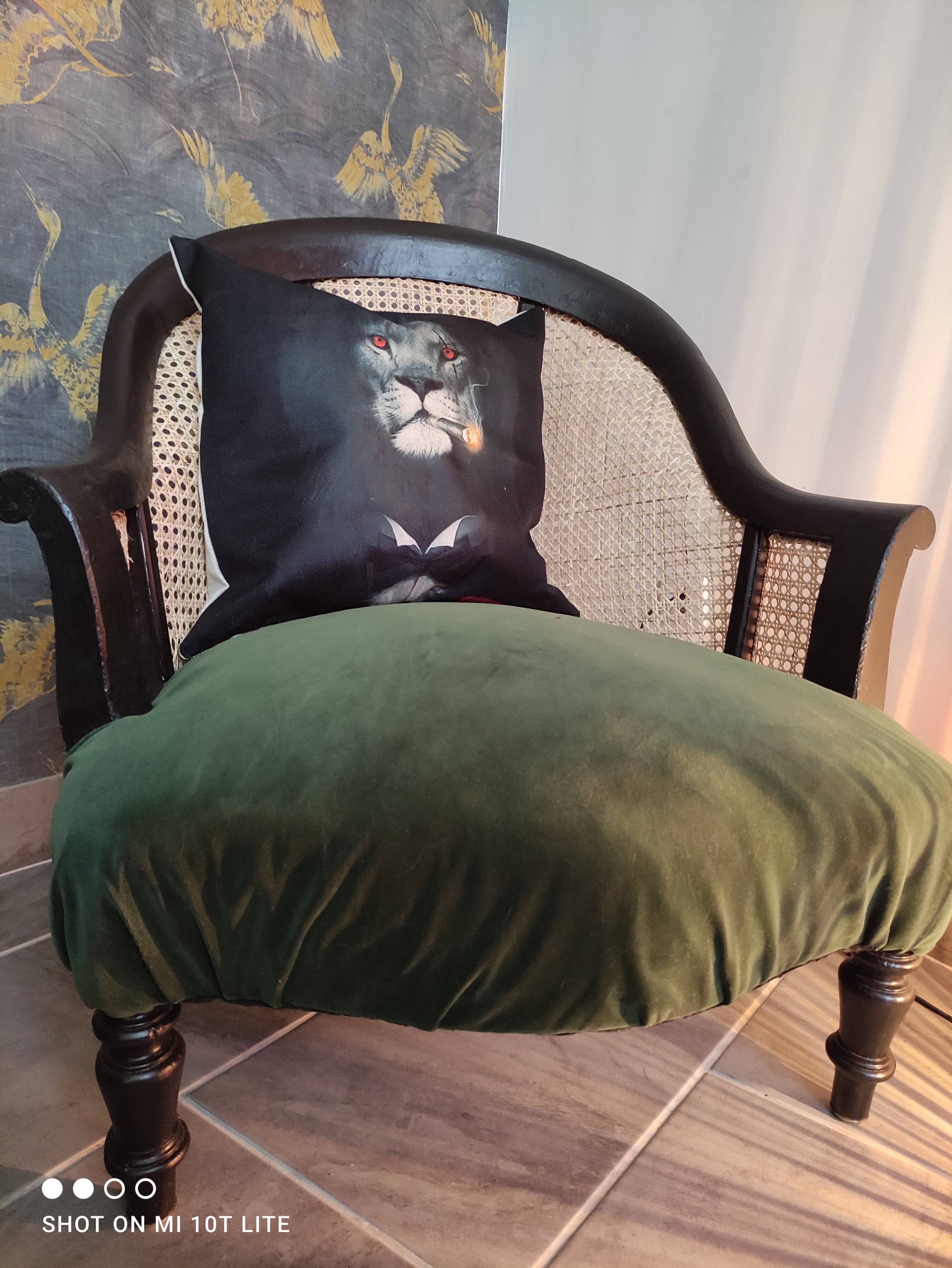 Fauteuil crapaud velours et cannage