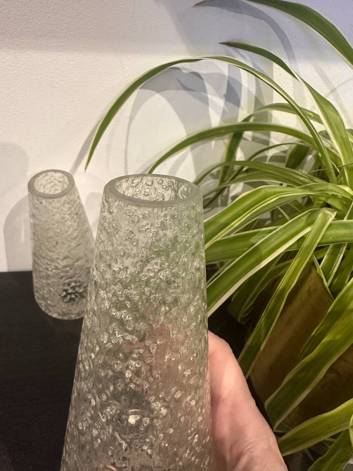 Pair of glasses for light sconces