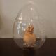 Taxidermie caneton
