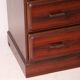 Japanese high commode