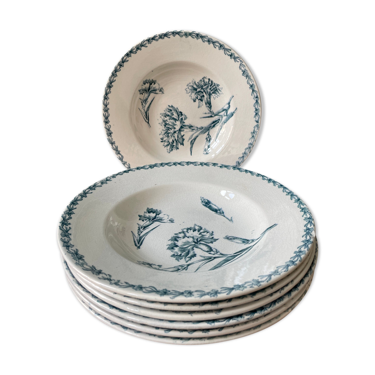 Set of 7 hollow plates Terre de Fer K.G Lunéville, model "carnation"