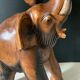Wooden elephant plant harness