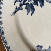 Flat plates Sarreguemines Iron Earth model Blue favorite