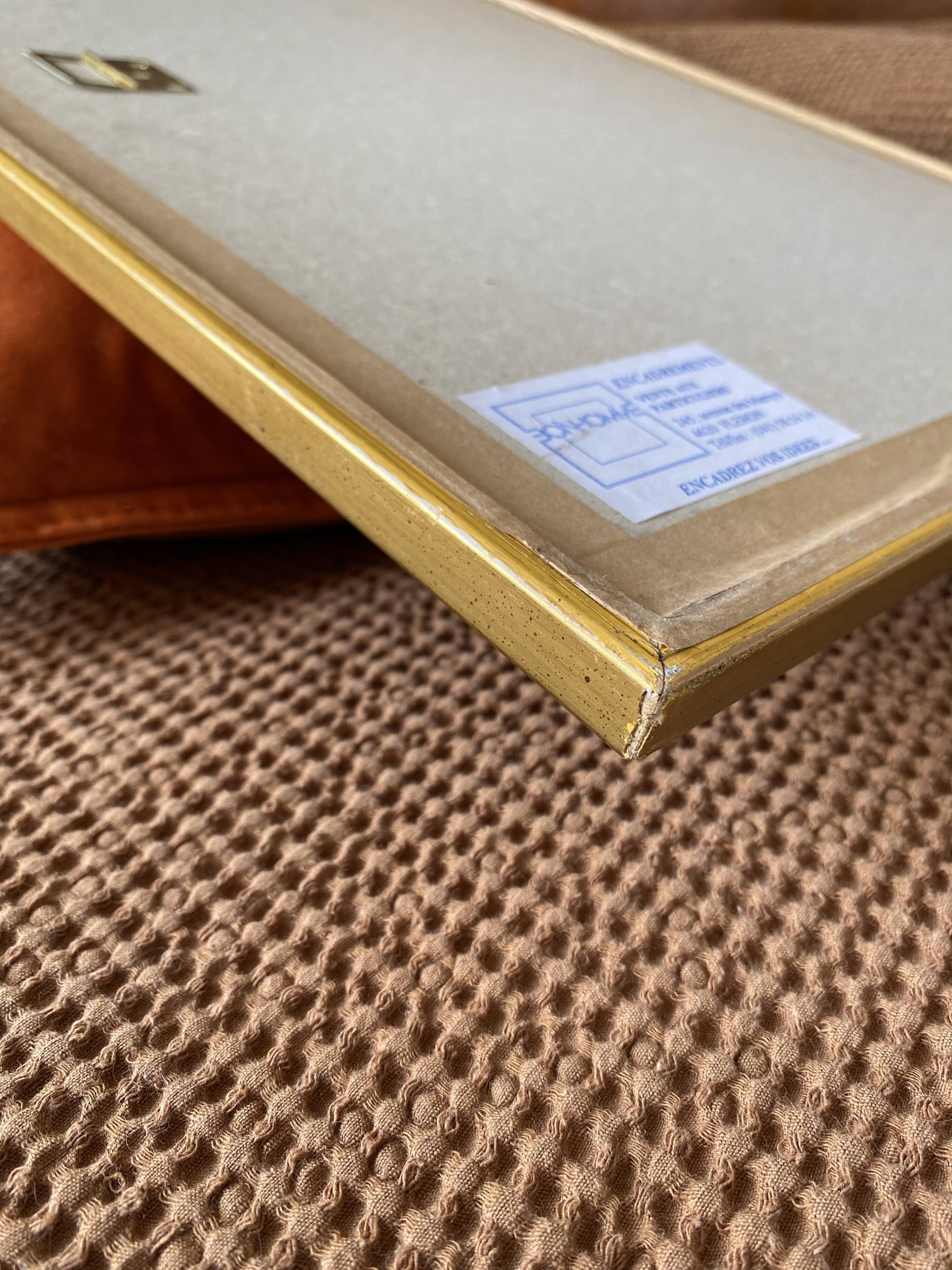 Floral lithograph by P.J Redouté