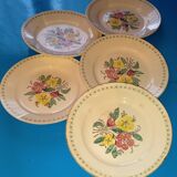 5 ironstone plates - colorful floral patterns, approx. 23cm in diameter.