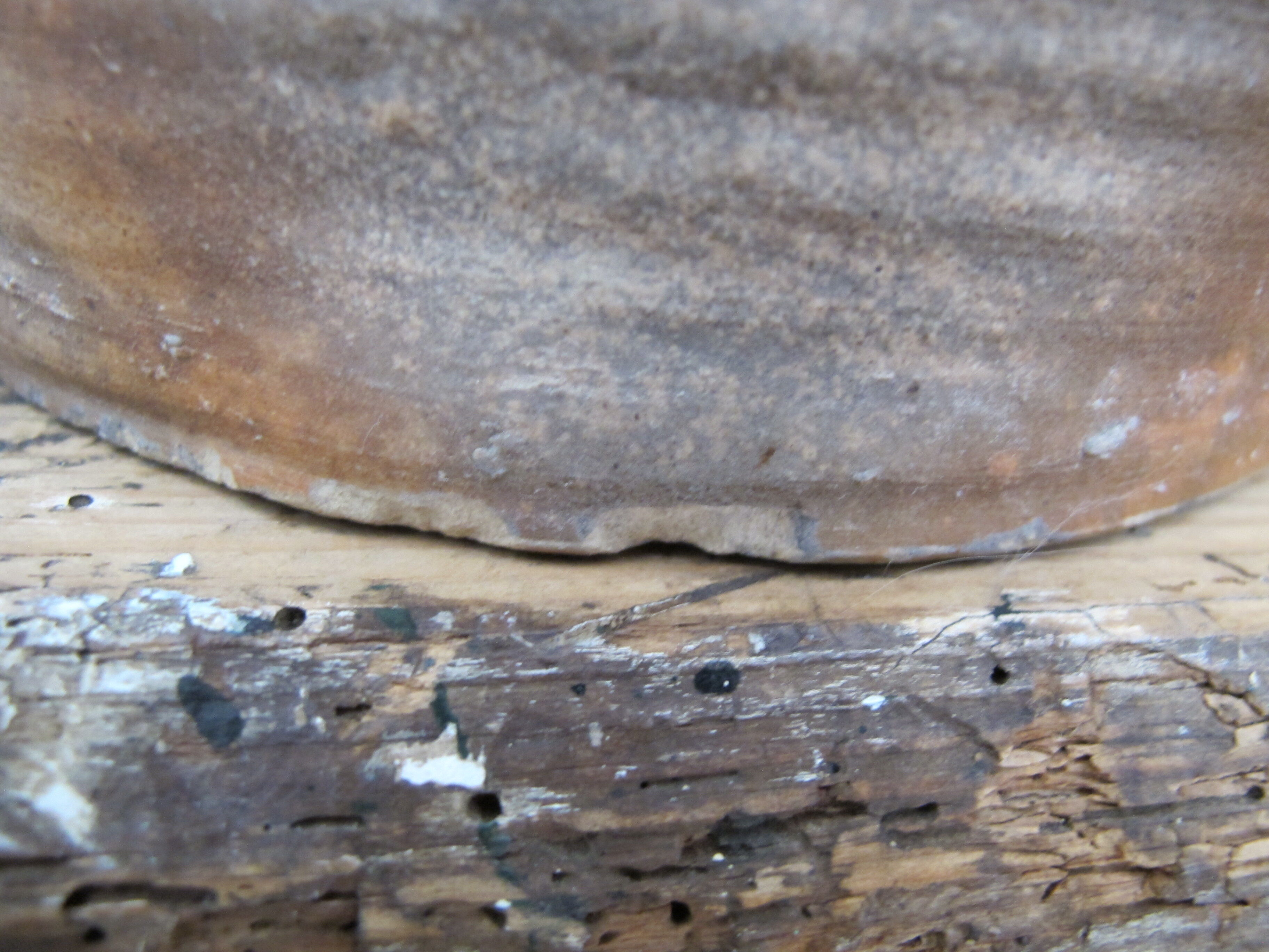 Old Pot in Sandstone