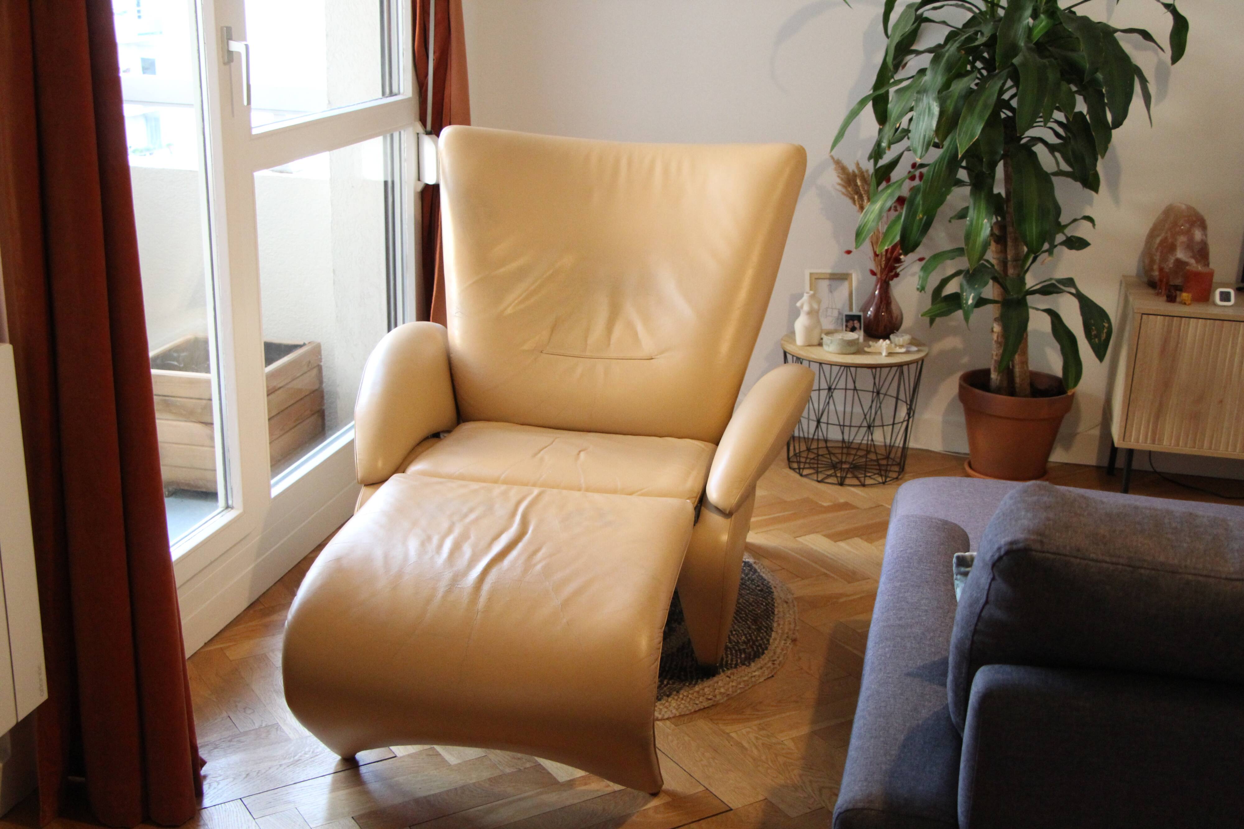De Sede DS-260 armchair
