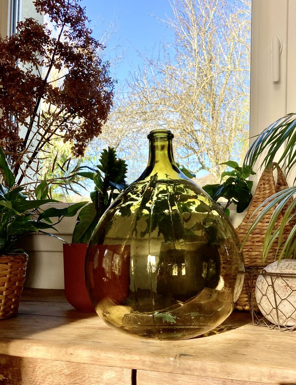 10L demijohn in a pretty olive green