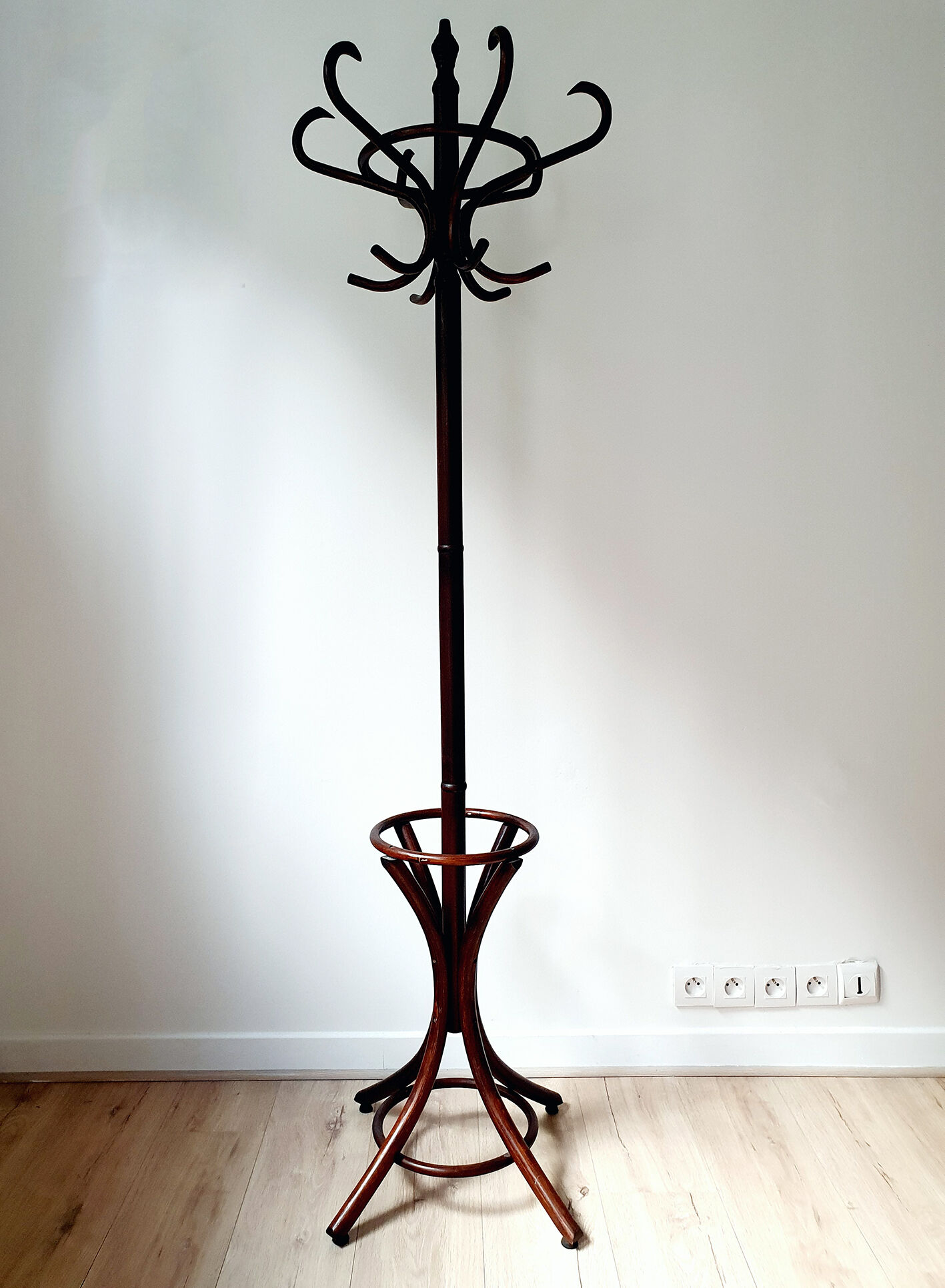 Parrot coat rack in curved wood