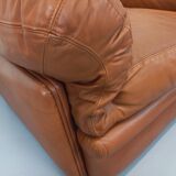 Pair of vintage Coquelicot lounge chairs by Tito Agnoli for Poltrona Frau in leather from the 70s