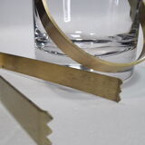 Ice bucket, ice cubes and its vintage pliers