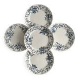 5 assiettes plates
