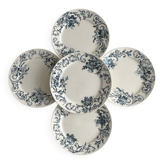 5 assiettes plates