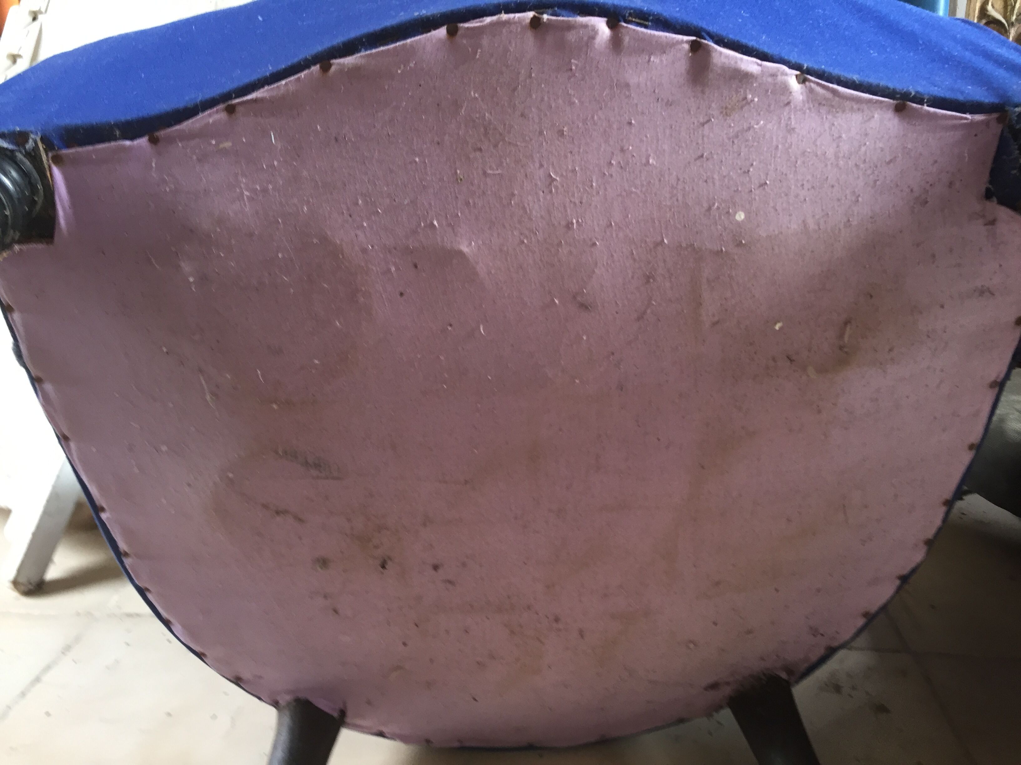 Armchair toad