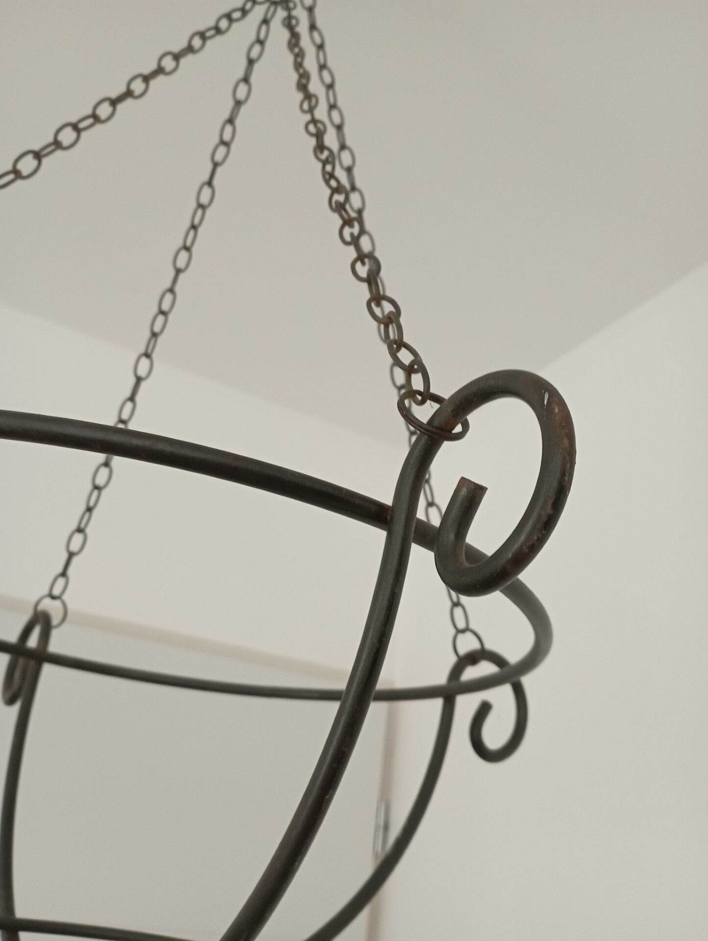 Hanging plant holder