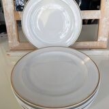 Limoges porcelain plates